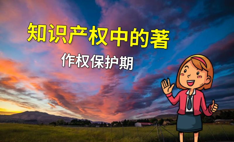 知识产权中的著作权保护期 动画制作软件有哪些