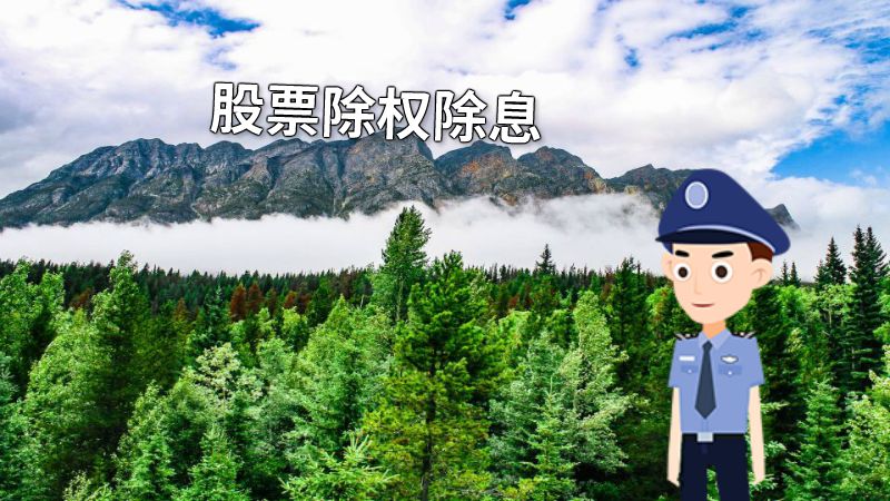 股票除权除息 动画制作软件有哪些