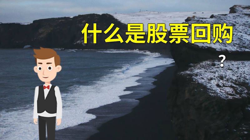 什么是股票回购？ 动画制作软件有哪些