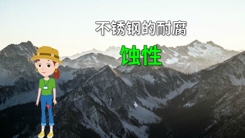 不锈钢的耐腐蚀性 动画制作软件有哪些