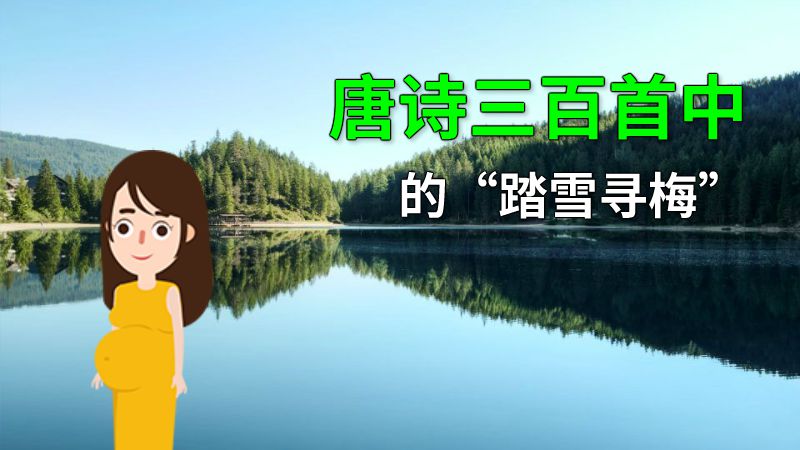 唐诗三百首中的“踏雪寻梅” 动画制作软件有哪些