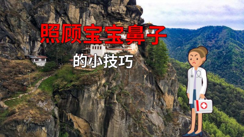 照顾宝宝鼻子的小技巧 动画制作软件有哪些