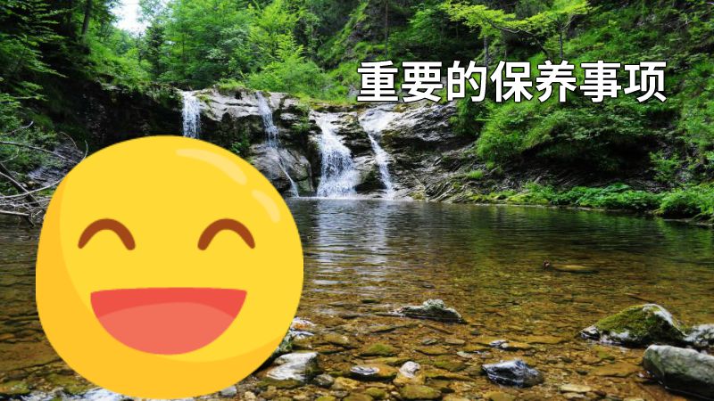 重要的保养事项 动画制作软件有哪些