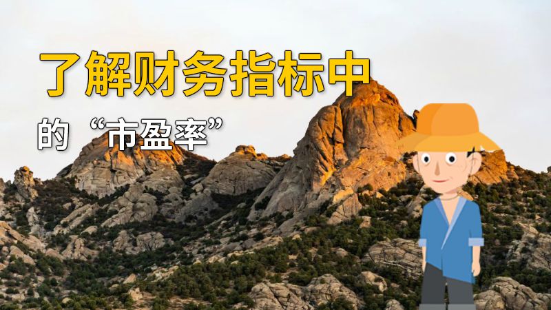 了解财务指标中的“市盈率” 动画制作软件有哪些