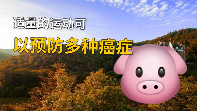 适量的运动可以预防多种癌症 动画制作软件有哪些