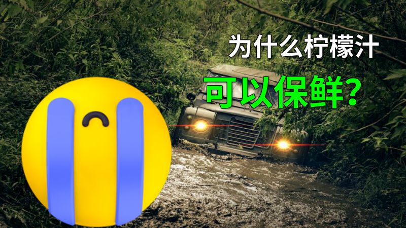 为什么柠檬汁可以保鲜？ 动画制作软件有哪些