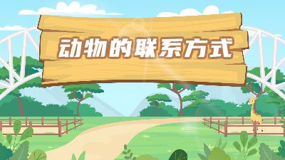 动物联系方式.am 动画制作软件有哪些