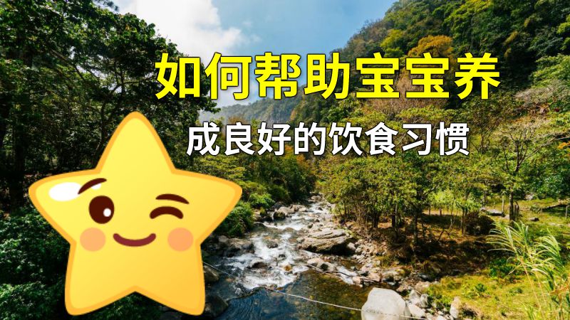 如何帮助宝宝养成良好的饮食习惯 动画制作软件有哪些