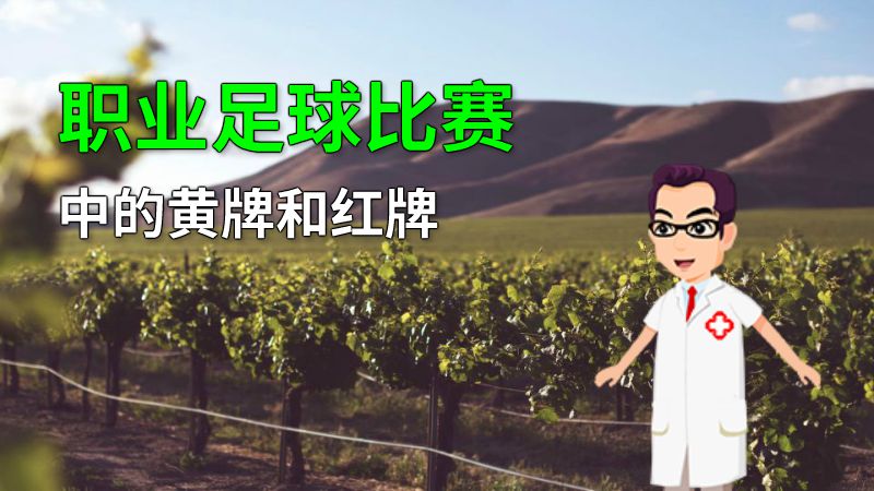 职业足球比赛中的黄牌和红牌 动画制作软件有哪些