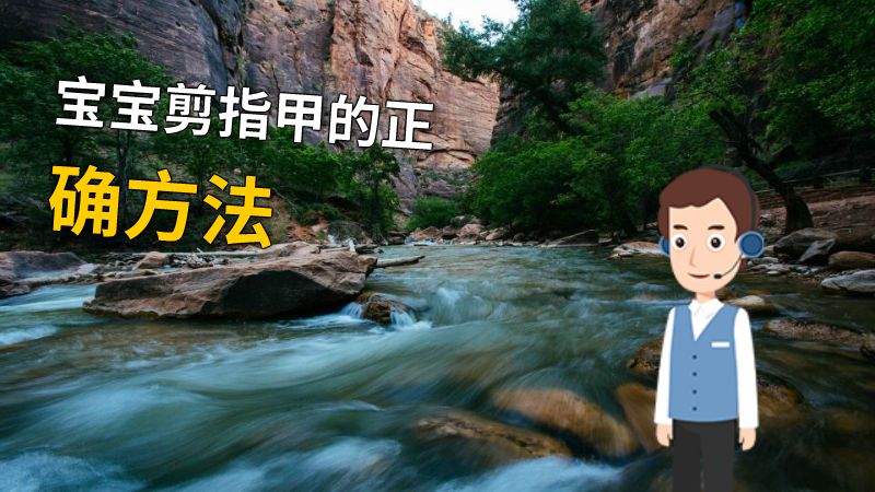 宝宝剪指甲的正确方法 动画制作软件有哪些