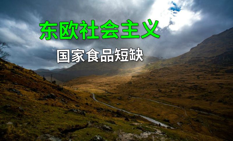东欧社会主义国家食品短缺 动画制作软件有哪些