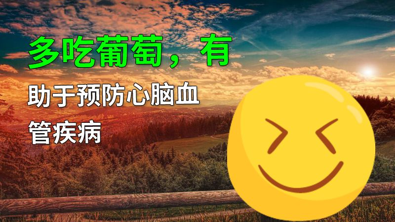多吃葡萄，有助于预防心脑血管疾病 动画制作软件有哪些