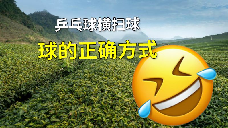乒乓球横扫球球的正确方式 动画制作软件有哪些