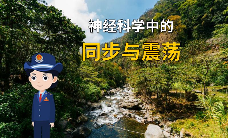 神经科学中的同步与震荡 动画制作软件有哪些
