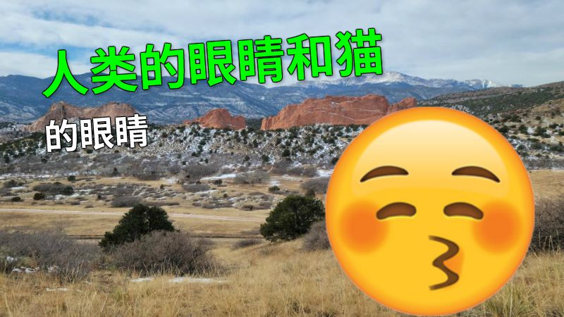 人类的眼睛和猫的眼睛 动画制作软件有哪些