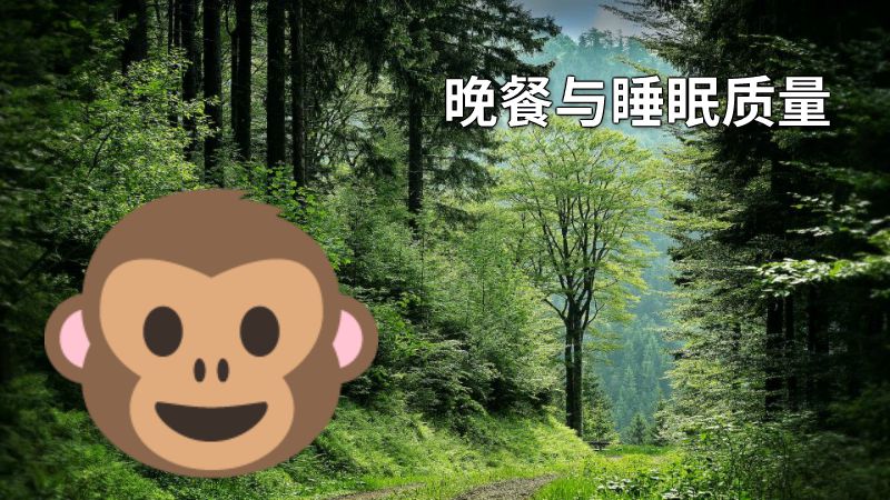 晚餐与睡眠质量 动画制作软件有哪些