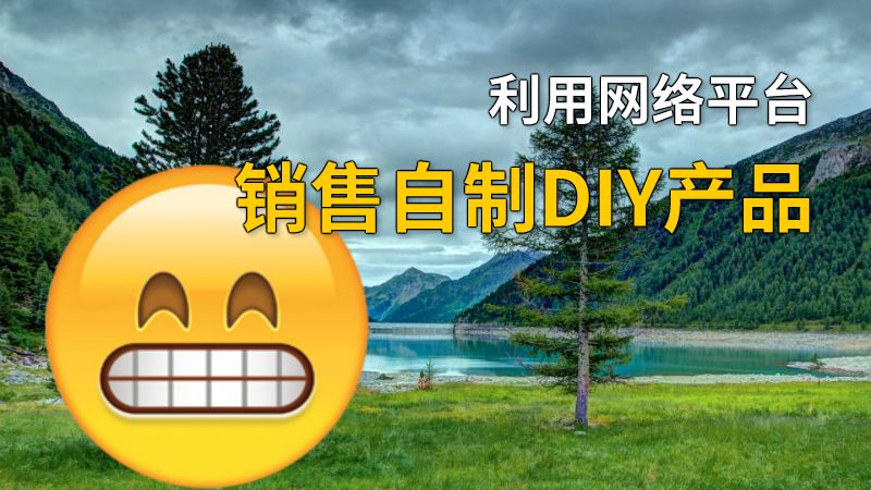 利用网络平台销售自制DIY产品 动画制作软件有哪些