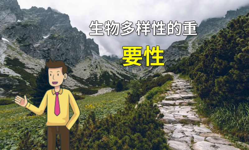 生物多样性的重要性 动画制作软件有哪些