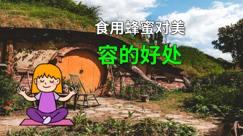 食用蜂蜜对美容的好处 动画制作软件有哪些