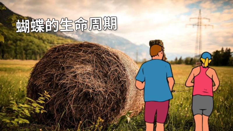 蝴蝶的生命周期 动画制作软件有哪些