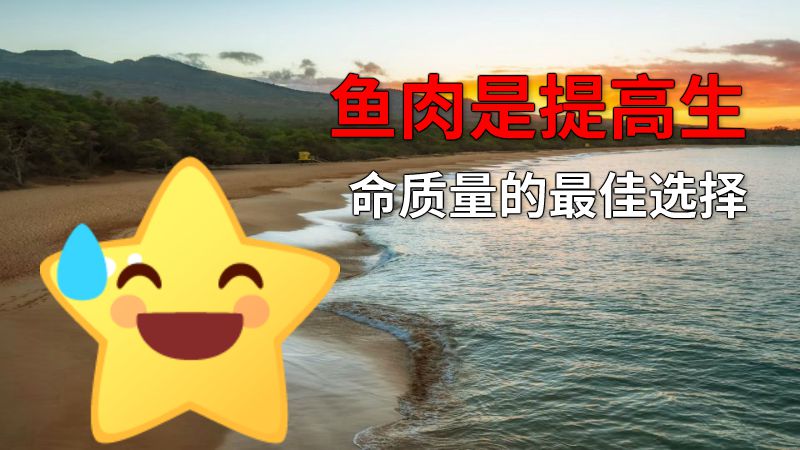 鱼肉是提高生命质量的最佳选择 动画制作软件有哪些