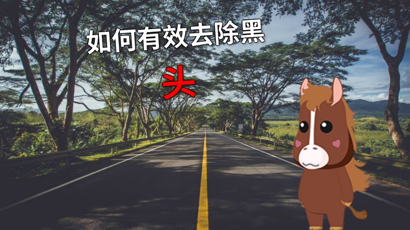 如何有效去除黑头 动画制作软件有哪些