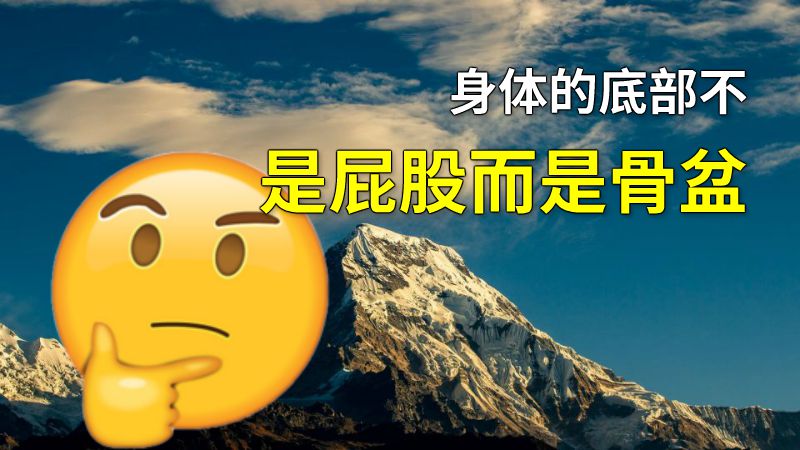 身体的底部不是屁股而是骨盆 动画制作软件有哪些