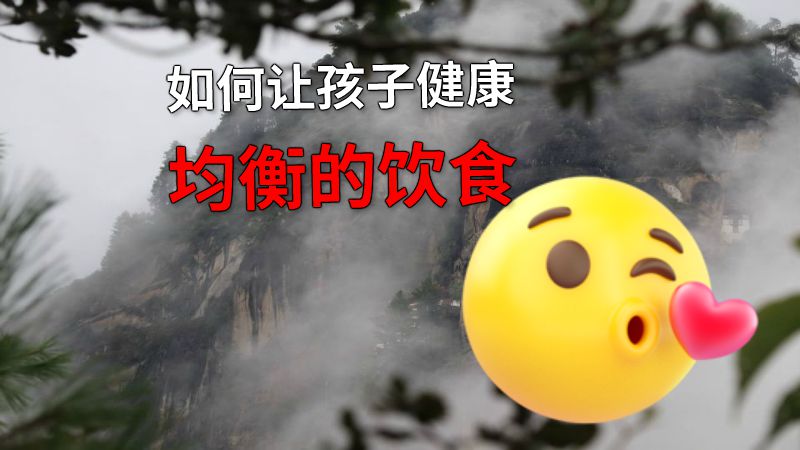 如何让孩子健康均衡的饮食 动画制作软件有哪些