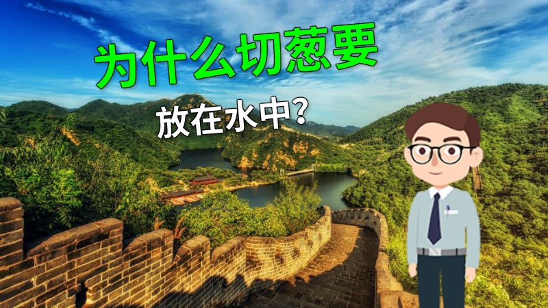 为什么切葱要放在水中？ 动画制作软件有哪些