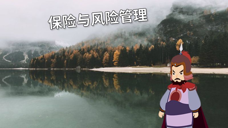 保险与风险管理 动画制作软件有哪些