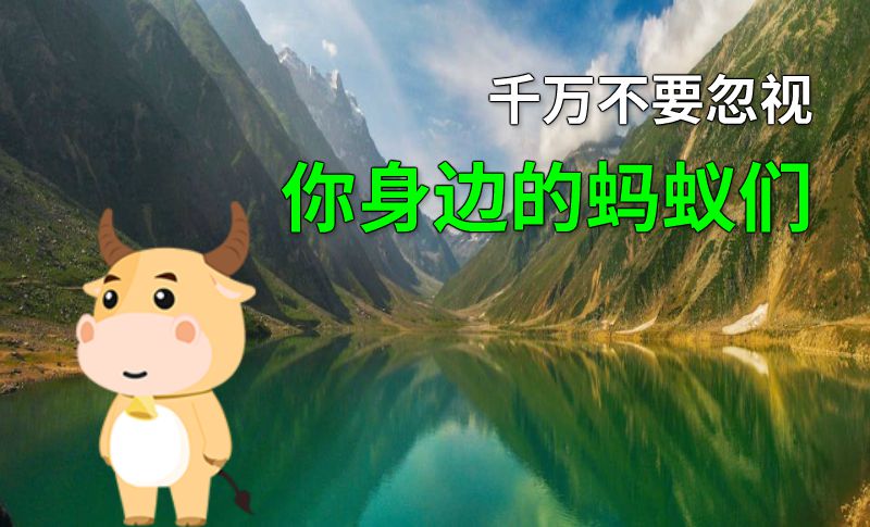 千万不要忽视你身边的蚂蚁们 动画制作软件有哪些
