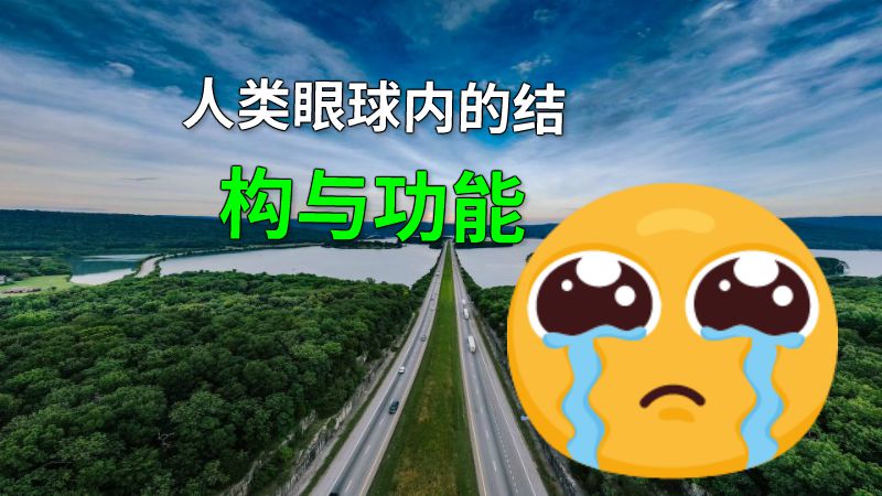 人类眼球内的结构与功能 动画制作软件有哪些