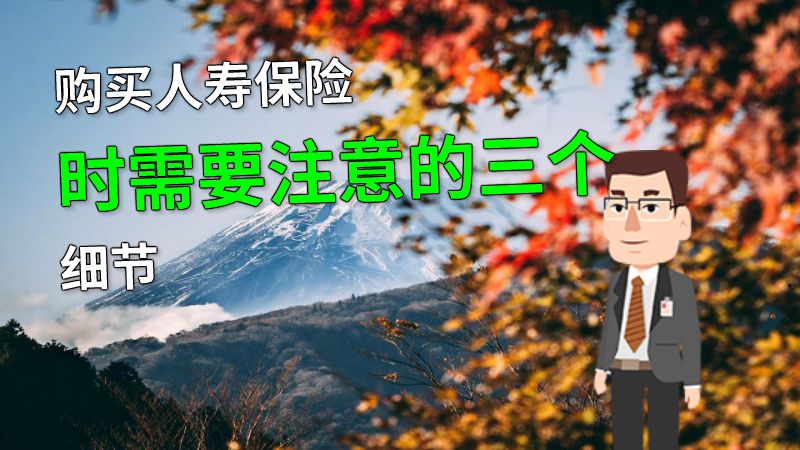 购买人寿保险时需要注意的三个细节 动画制作软件有哪些