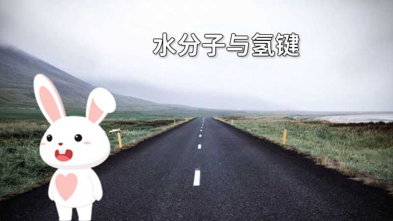水分子与氢键 动画制作软件有哪些