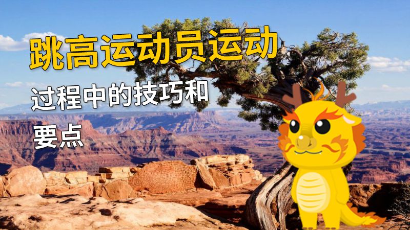 跳高运动员运动过程中的技巧和要点 动画制作软件有哪些