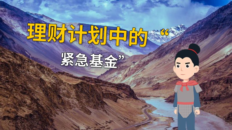 理财计划中的“紧急基金” 动画制作软件有哪些