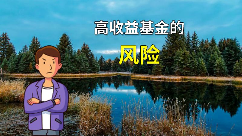 高收益基金的风险 动画制作软件有哪些