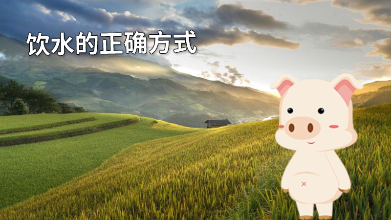 饮水的正确方式 动画制作软件有哪些