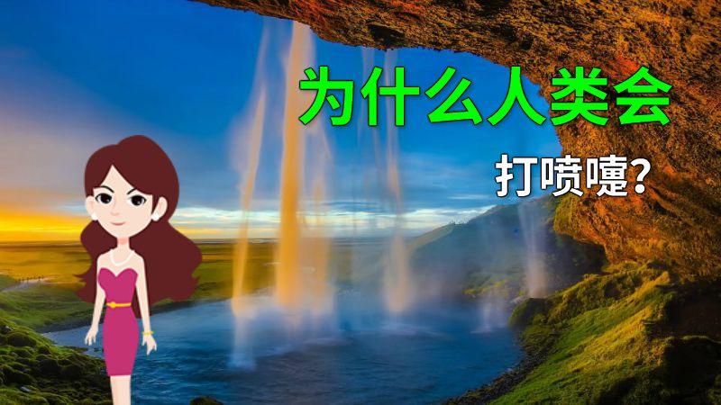 为什么人类会打喷嚏？ 动画制作软件有哪些
