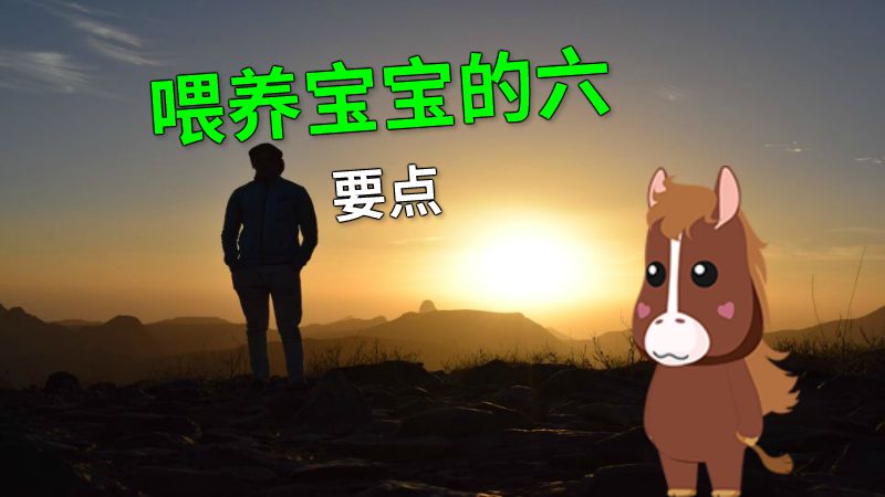喂养宝宝的六要点 动画制作软件有哪些