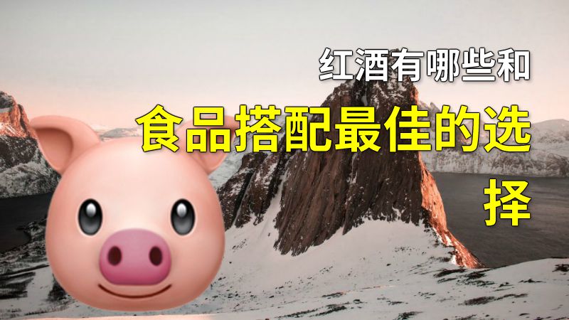 红酒有哪些和食品搭配最佳的选择 动画制作软件有哪些