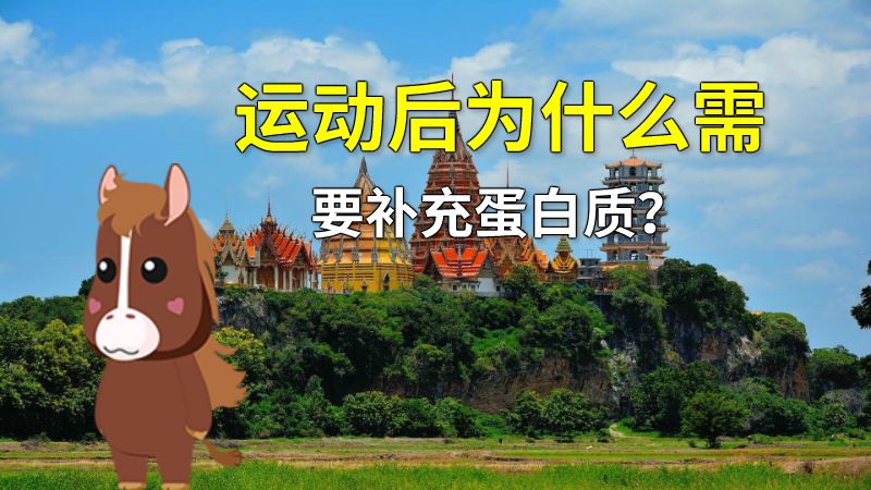 运动后为什么需要补充蛋白质？ 动画制作软件有哪些