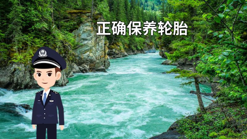 正确保养轮胎 动画制作软件有哪些