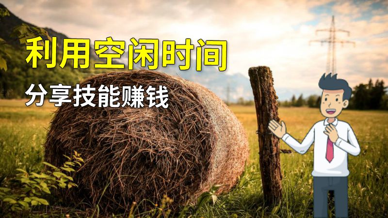 利用空闲时间分享技能赚钱 动画制作软件有哪些