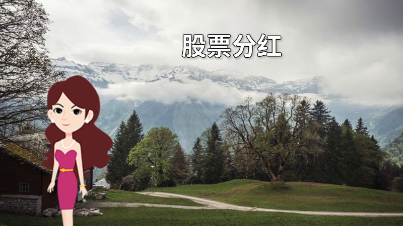 股票分红 动画制作软件有哪些