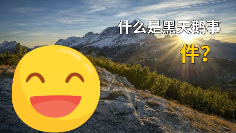 什么是黑天鹅事件？ 动画制作软件有哪些