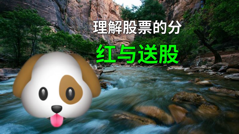 理解股票的分红与送股 动画制作软件有哪些