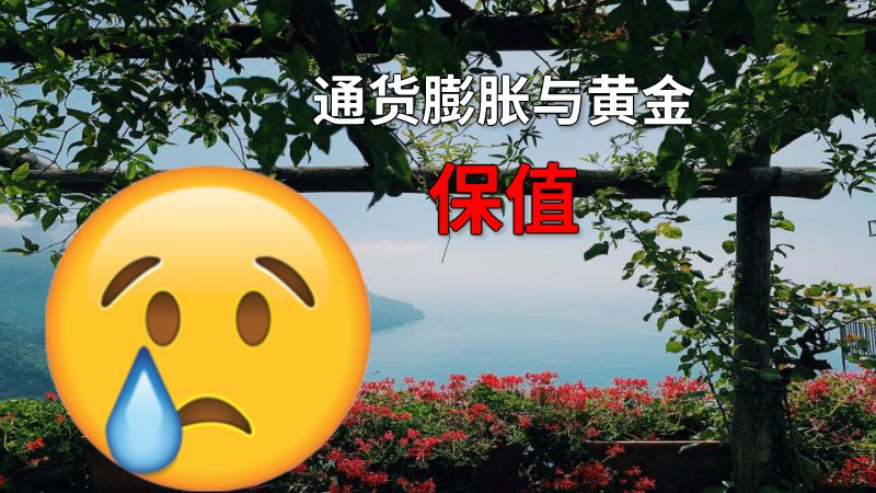 通货膨胀与黄金保值 动画制作软件有哪些