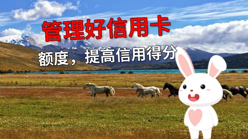 管理好信用卡额度，提高信用得分 动画制作软件有哪些