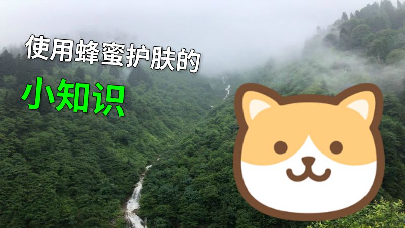 使用蜂蜜护肤的小知识 动画制作软件有哪些